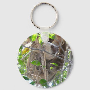 Chaveiro sloth