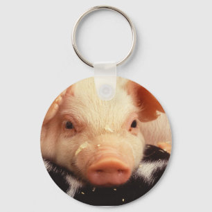 Chaveiro Snout adorável da cara do porco do leitão