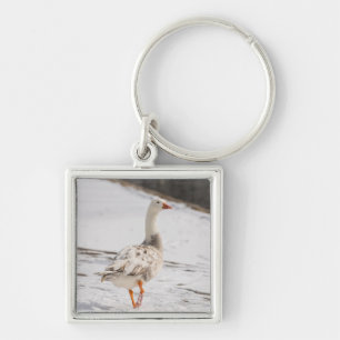 Chaveiro Snow Goose Strut