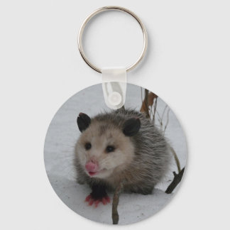 Chaveiro Snow Possum