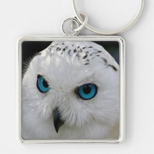 Chaveiro Snowy Owl