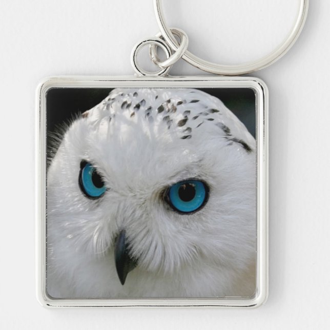 Chaveiro Snowy Owl (Frente)