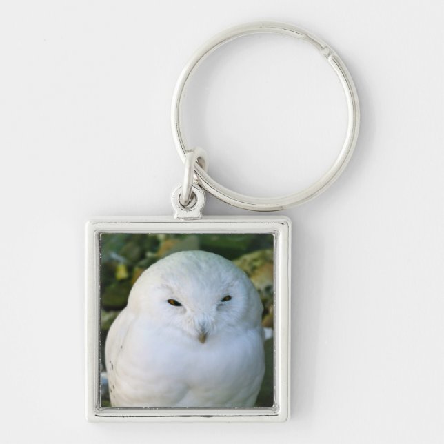 Chaveiro Snowy Owl (Frente)