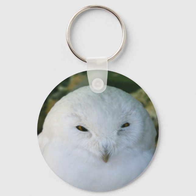 Chaveiro Snowy Owl (Frente)