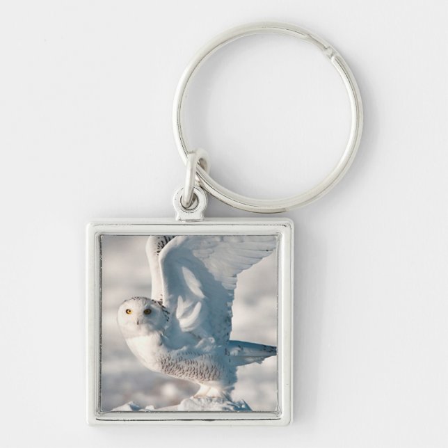 Chaveiro Snowy Owl a sair da neve (Frente)