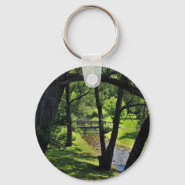 Chaveiro Sob um dossel dos salgueiros