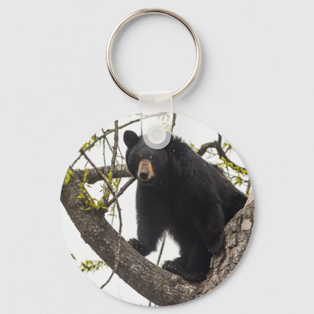 Chaveiro Sobe Urso Negro (Frente)