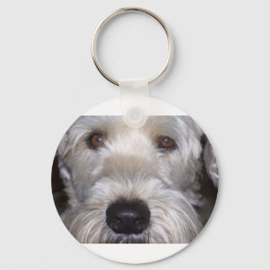 Chaveiro Soft Coated Wheaten Terrier