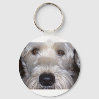 Chaveiro Soft Coated Wheaten Terrier