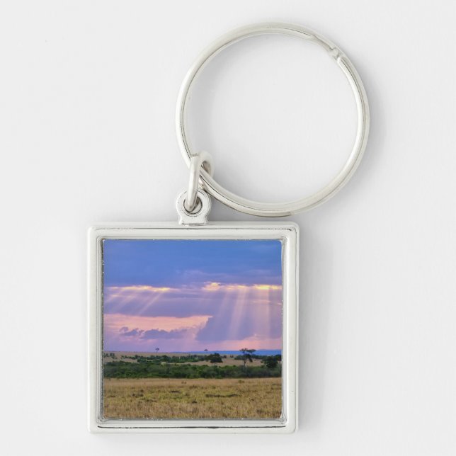 Chaveiro Sol se pondo no Masai Mara. (Frente)