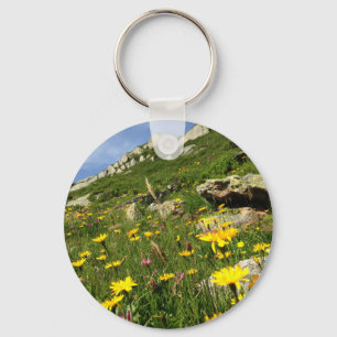 Chaveiro Solte a sua imaginação! Flores alpinas