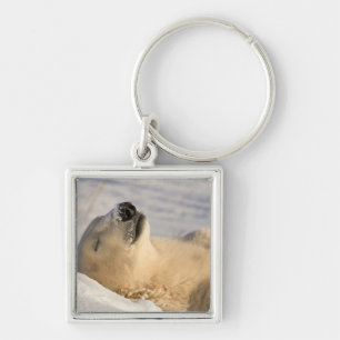Chaveiro Soneca do Urso Polar