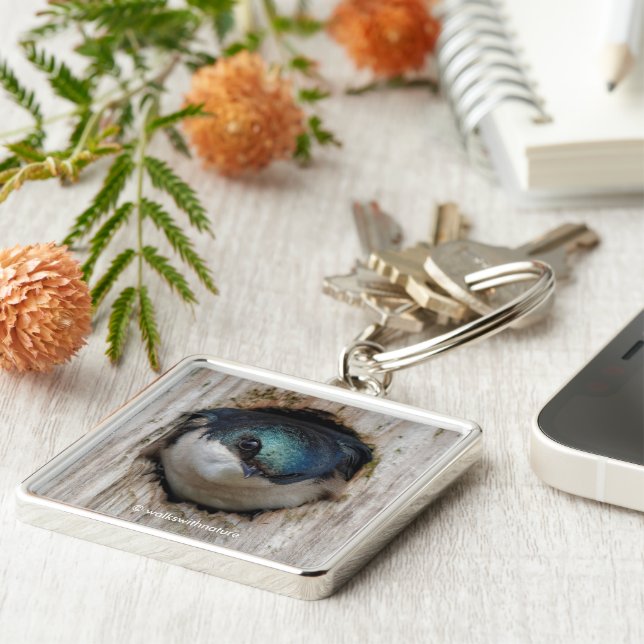 Chaveiro Songbird em árvore estonteante no Nestbox (Lateral)