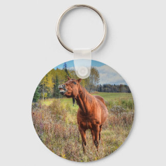Chaveiro Sorrel Mare Equine Photo Ranch do Funny Horse-love