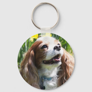 Chaveiro Sorria Blenheim Cavalier King Charles Spaniel