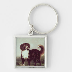 Chaveiro Spaniel