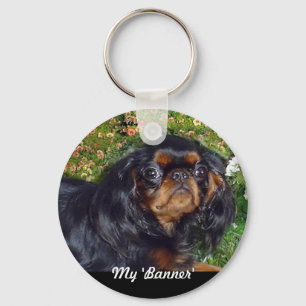 Chaveiro Spaniel de brinquedo inglês