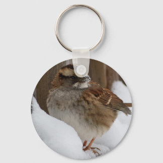Chaveiro Sparrow com garganta branca