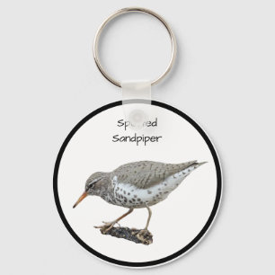 Chaveiro Spotted Sandpiper