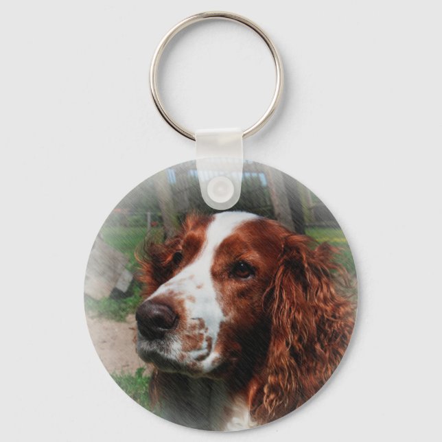 Chaveiro Springer Spaniel Dog Art (Frente)
