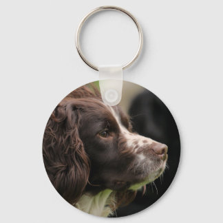 Chaveiro Springer Spaniel Keyring