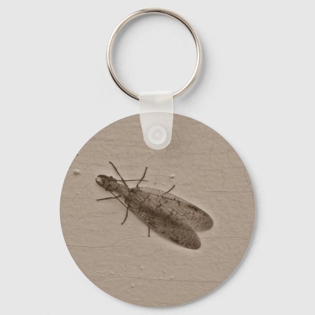 Chaveiro Ssepia voadora de Dobsonfly (Frente)