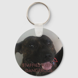 CHAVEIRO STAFFIES NÃO SÃO PERIGOSOS