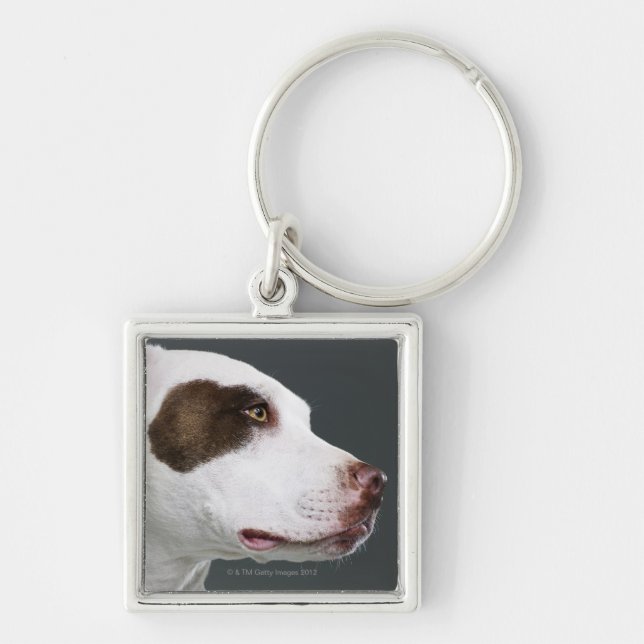 Chaveiro Staffordshire bull terrier, fim-acima (Frente)