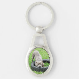 Chaveiro Staffordshire Bull Terrier, Oval Metal Keyring
