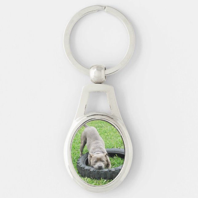 Chaveiro Staffordshire Bull Terrier, Oval Metal Keyring (Frente)