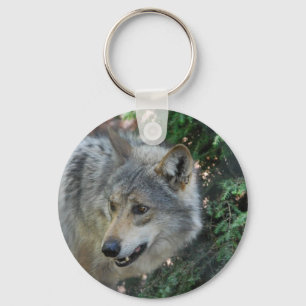 Chaveiro Stalking Wolf Keychain