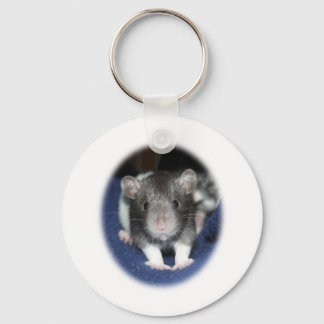 Chaveiro Staring Baby Rat Products