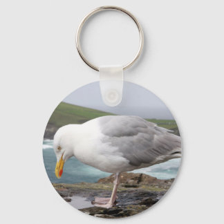 Chaveiro stehende Moewe