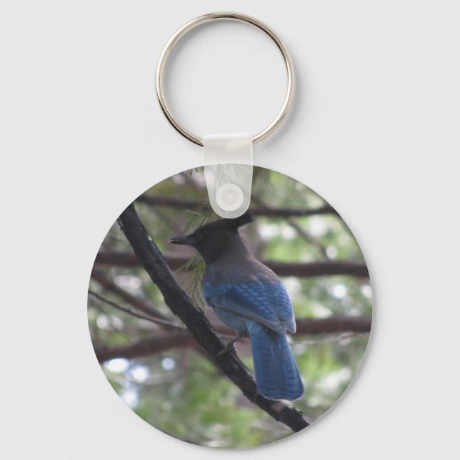 Chaveiro Stellar Jay - Yosemite (Frente)
