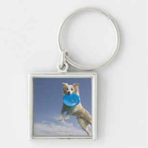 Chaveiro Stockton, Califórnia, EUA