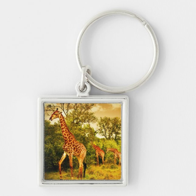 Chaveiro Sul - girafas africanos (Frente)