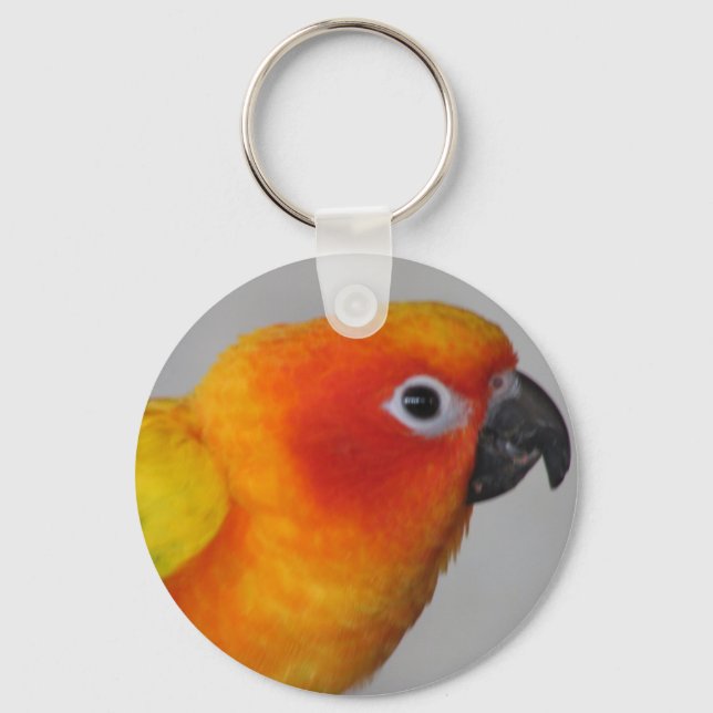 Chaveiro Sun Conure (Frente)