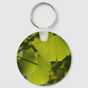 Chaveiro Sunlit Ginkgo Folhas