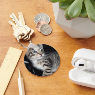 Chaveiro "Sussurros de Problemas: o Misquioso Tabby Kitten