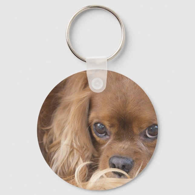 Chaveiro Sweet Ruby Cavalier King Charles Spaniel (Frente)
