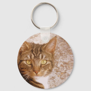 Chaveiro Tabby Cat