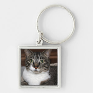 Chaveiro Tabby Cat Olhando para você - Descontinuado por Mi