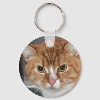 Chaveiro Tabby Cat Tabby Laranja Shore