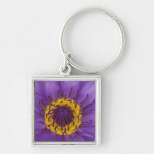 Chaveiro Tailândia, Banguecoque, Lótus roxo e amarelo