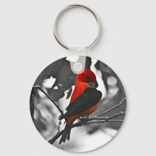 Chaveiro Tanager Escarlate Macho