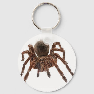 CHAVEIRO TARANTULA