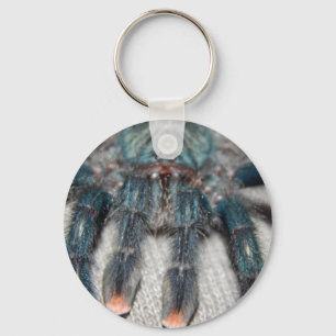 Chaveiro tarantula azul