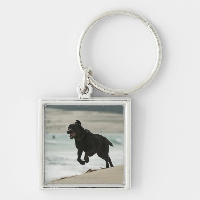 Chaveiro Tarifa, Cadiz, a Andaluzia, espanha (Frente)