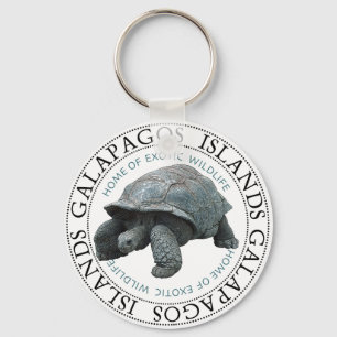 Chaveiro Tartaruga das Ilhas Galápagos