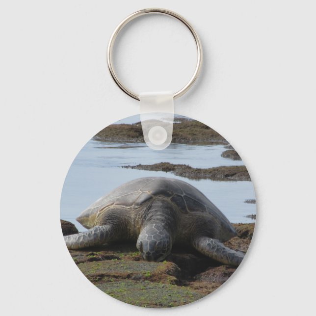 Chaveiro Tartaruga Descansando Nas Rochas (Frente)